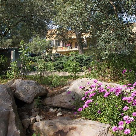 Aramon Chambre D'Hote Saint Remy المظهر الخارجي الصورة