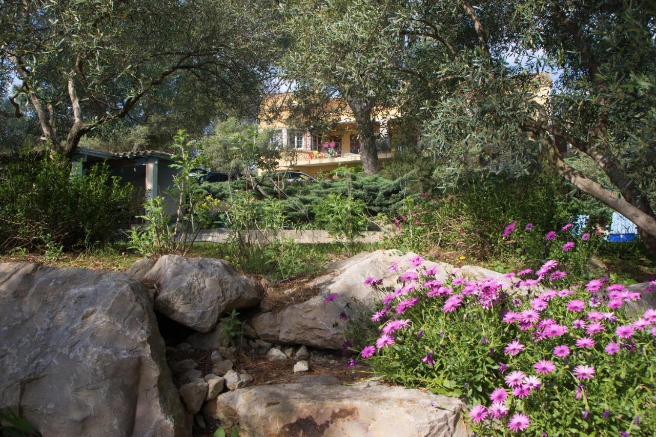 Aramon Chambre D'Hote Saint Remy المظهر الخارجي الصورة