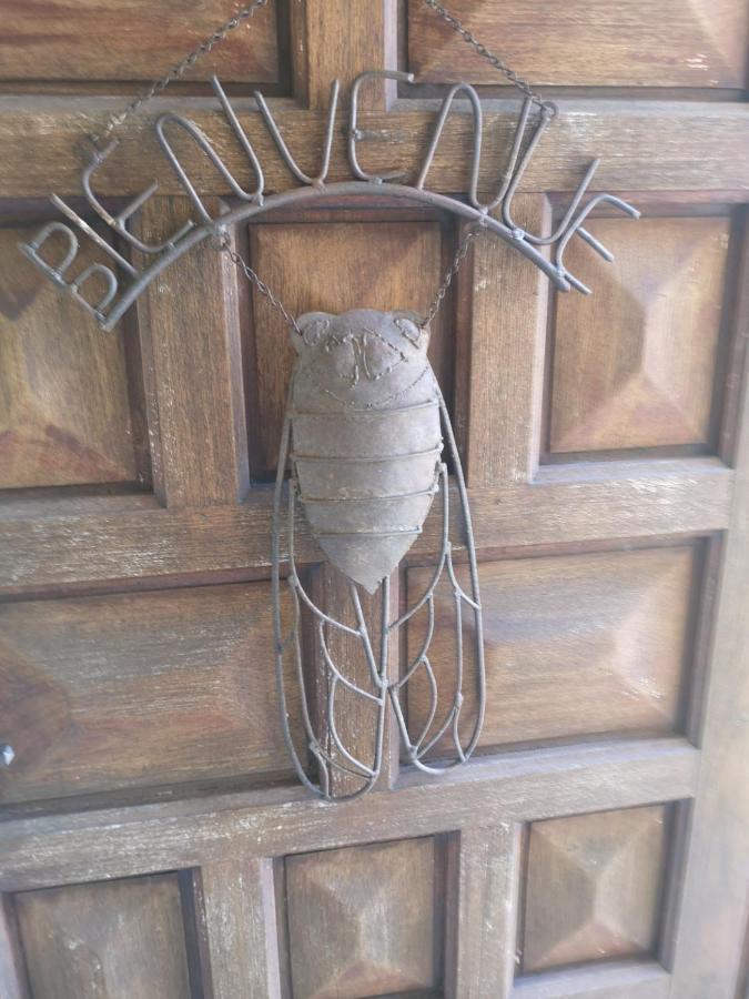 Aramon Chambre D'Hote Saint Remy المظهر الخارجي الصورة